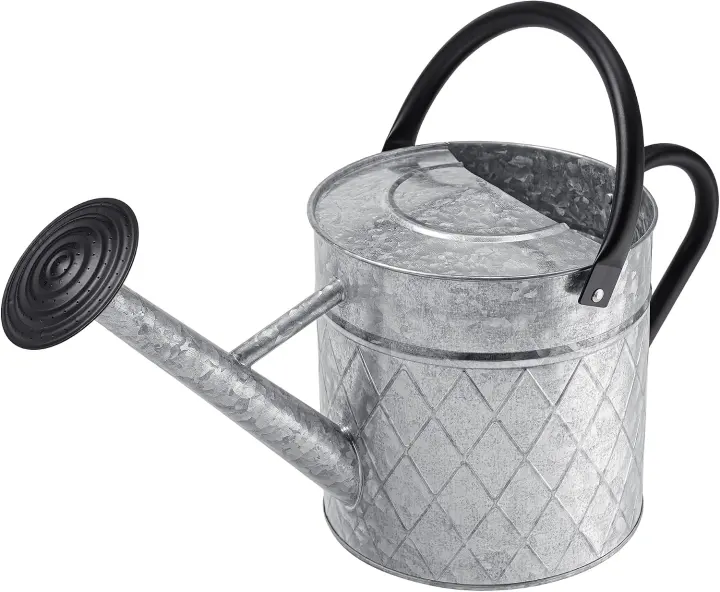 1.75-Gallon Galvanized Metal Watering Can with Removable Spray Spout