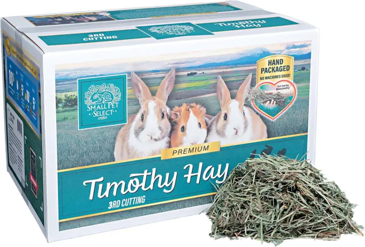 3rd-Cutting Super Soft Timothy Hay — 20 lb Pet Hay