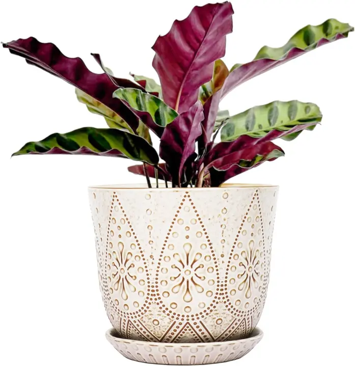 8-Inch White Ceramic Plant Pot with Drainage Tray & Saucer