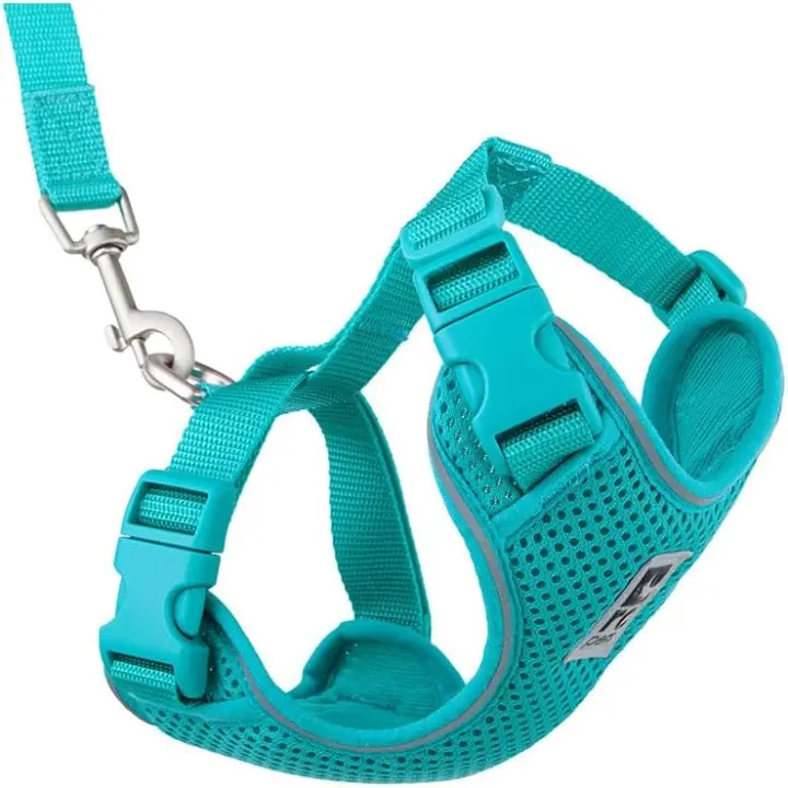 Adventure Cat Harness with 6ft Leash — Small, Teal