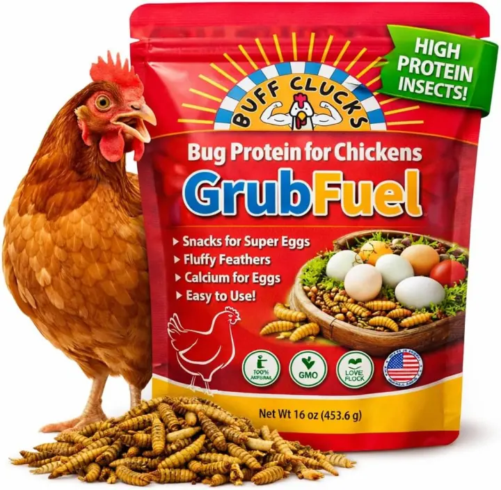 Buff Clucks Black Soldier Fly Larvae for Chickens — 1 lb