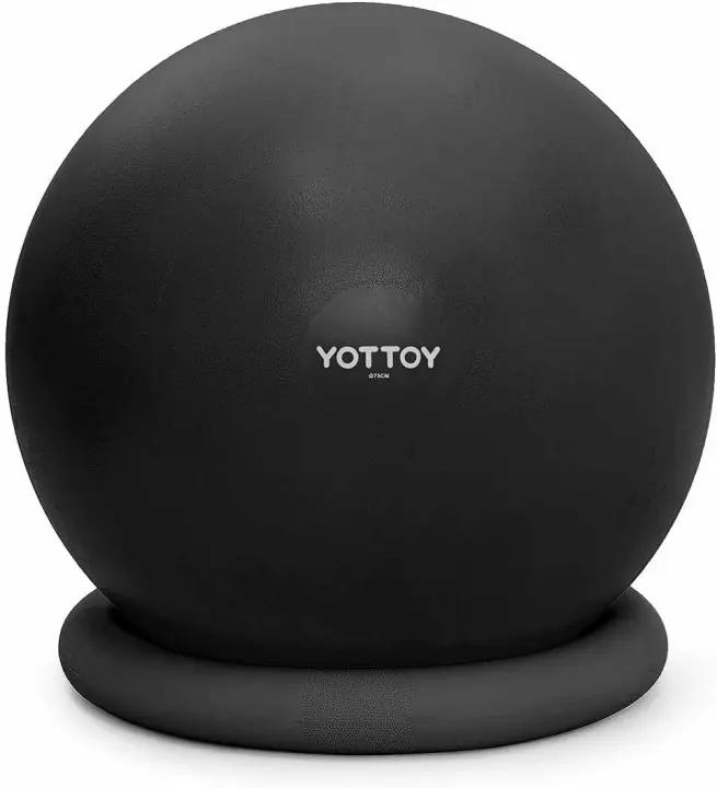 Exercise Ball Chair with Stabilizing Base and Foot Pump (65cm)