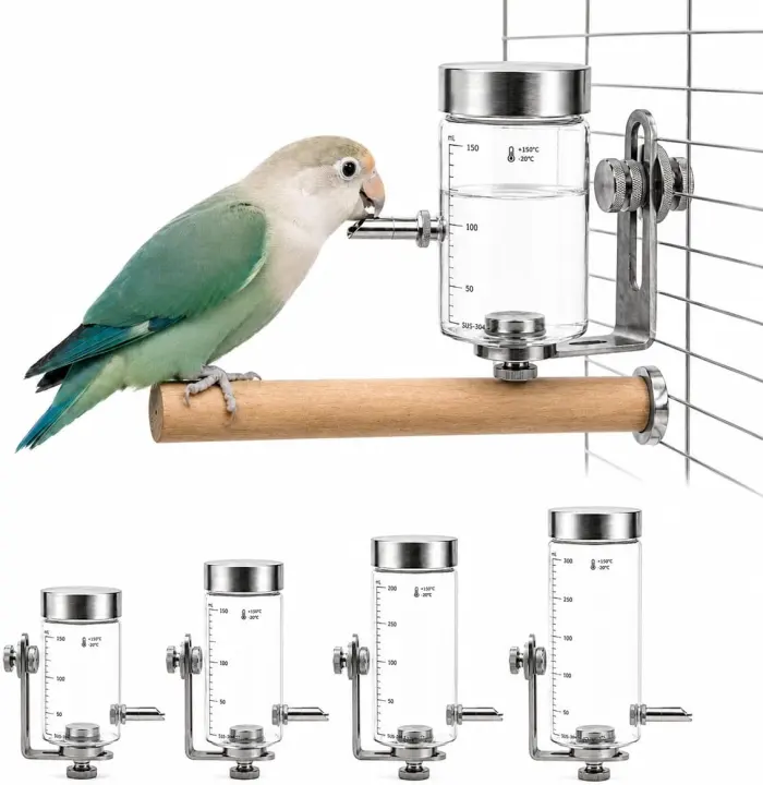 Glass Bird Water Bottle with Magnetic Mount — No-Drip Cage Dispenser