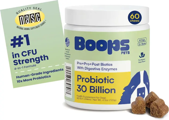 Probiotic Chews for Dogs — 30 Billion CFU with Pre & Postbiotics