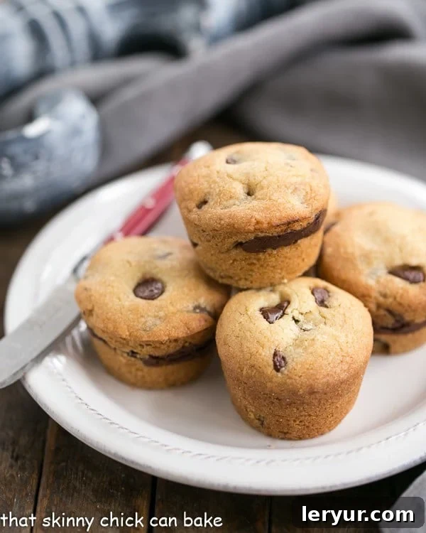 Close-up of a homemade chocolate chip button cookie on a white plate