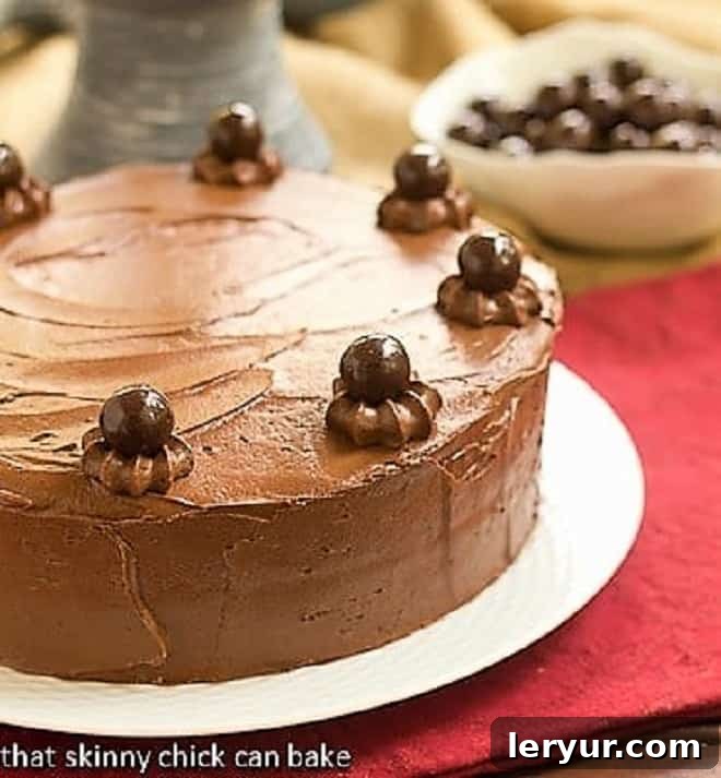Chocolate Layer Cake on a pristine white cake stand