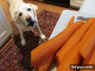 Bourbon Maple Glazed Carrots - An easy way to transform carrots into a restaurant worthy side dish! Close-up of fresh carrots being peeled and prepped for the Bourbon Maple Glazed Carrots recipe.