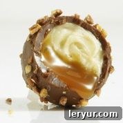 Godiva's Truffle Takeoff: Your Passport to Chocolate Nirvana 5 GODIVA Truffle Flight Details - Exquisite Chocolate Selection