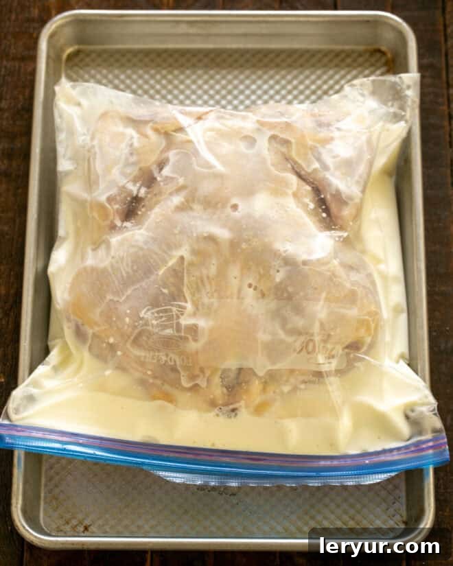 The Ultimate Buttermilk Chicken 5 Buttermilk and whole chicken in a Ziploc bag.