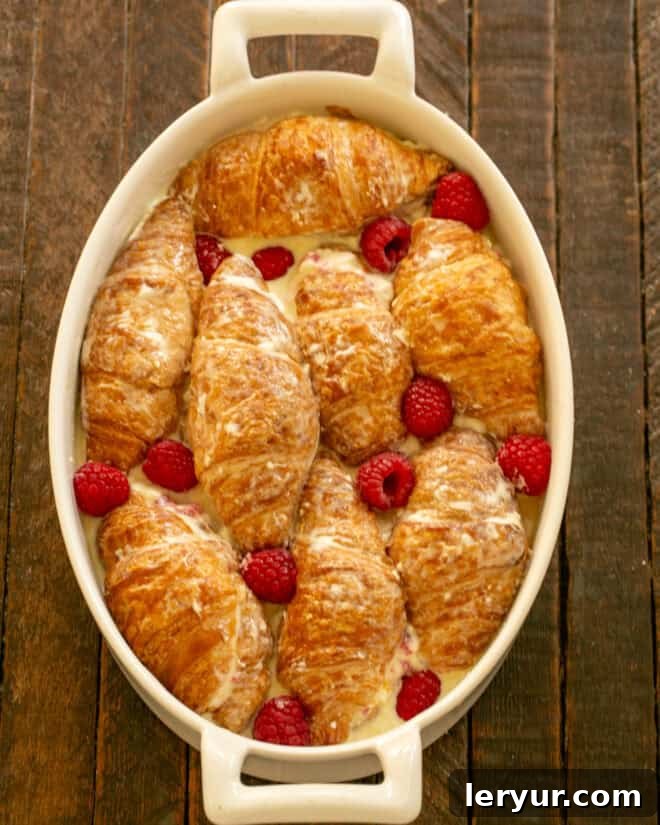 Decadent Croissant French Toast with Juicy Raspberries 8 Step 5: Placing croissant tops over the filling and pouring the custard over the entire casserole before chilling.