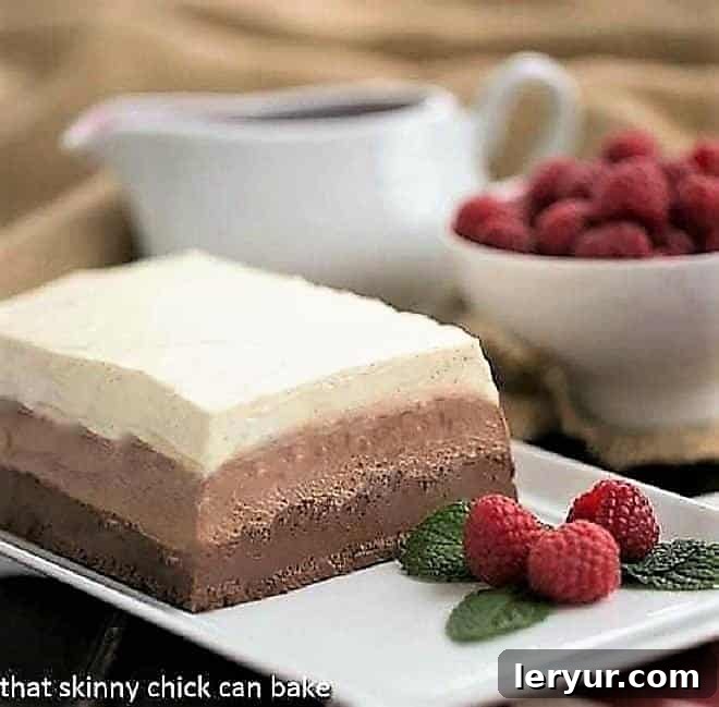 Triple Chocolate Terrine - a no-bake triple chocolate mousse dessert! Triple chocolate terrine on a white platter with raspberries and mint.