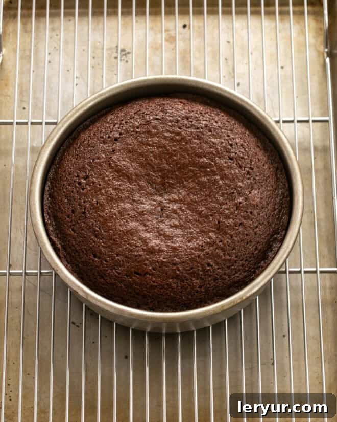 The fudge cake baking in the oven, showing its rising and golden-brown top.