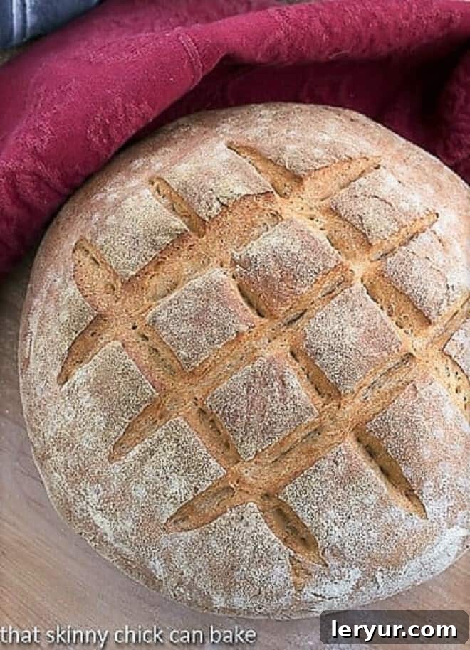 Overhead view of a freshly baked Whole Wheat Country Bread, golden brown with a scored pattern on top