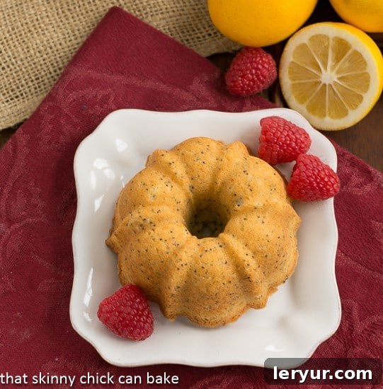 Meyer Lemon Poppy Seed Tea Cakes - citrus laden quick breads baked in festive mini Bundt pans! Meyer Lemon Poppy Seed Tea Cakes - citrus laden quick breads baked in festive mini Bundt pans!