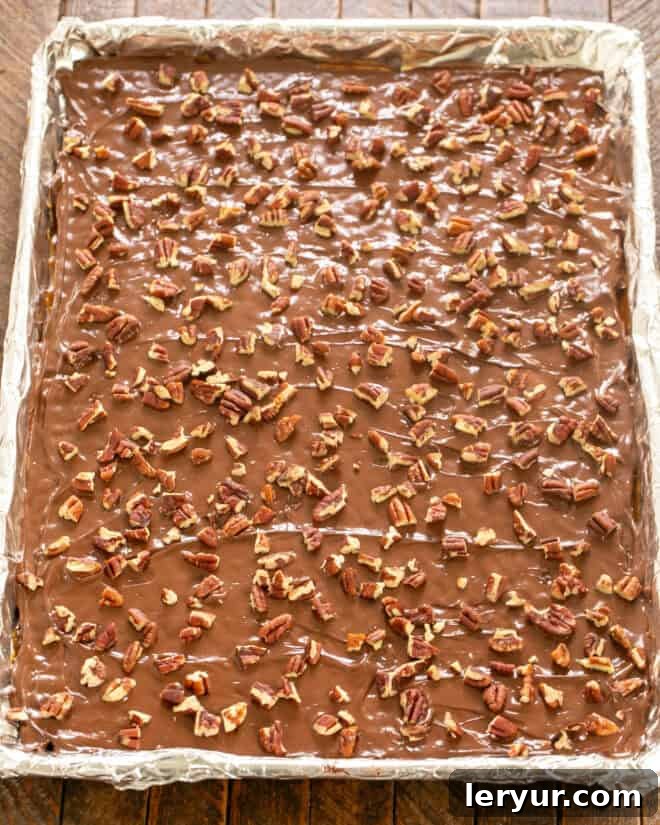 Step 5: Add chocolate chips, spread them melted, then sprinkle with chopped pecans.