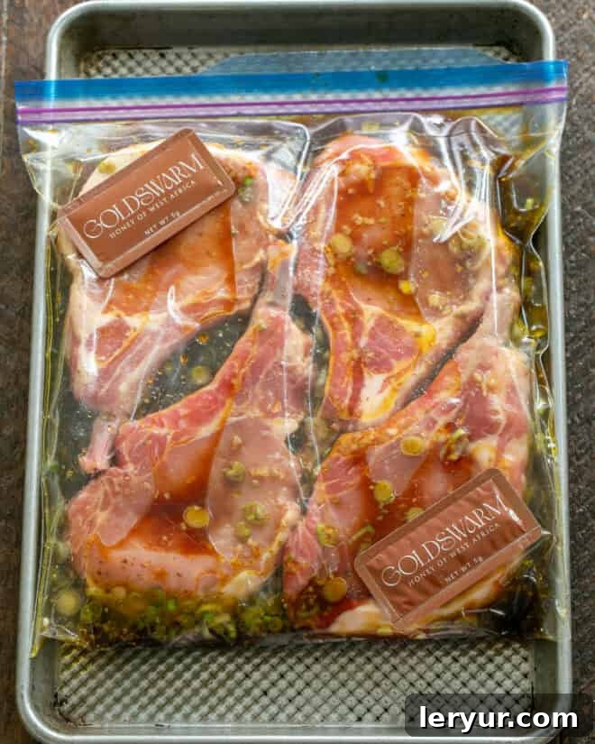 Soy, Honey & Lemon Marinated Chops in bag with marinade, showing the chops fully submerged in the flavorful liquid.