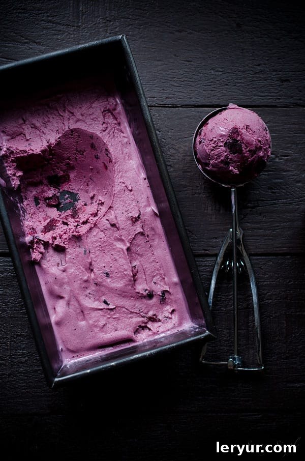 Pale purple ice cream with visible roasted blueberries.