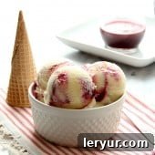Swirls of creamy vanilla ice cream with dark blackberry puree.