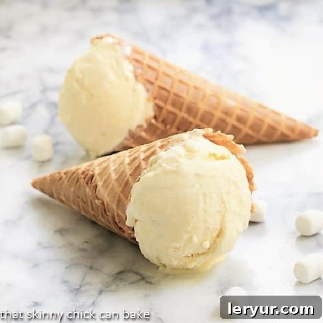 Fluffy marshmallow ice cream drizzled with decadent fudge sauce.