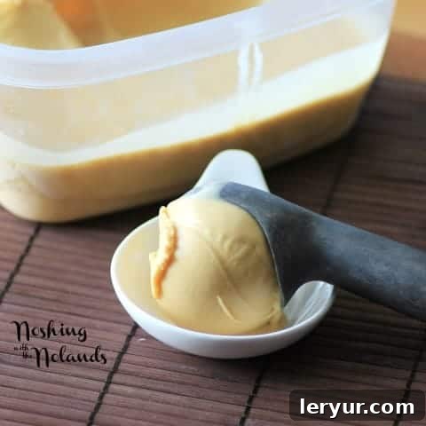 Scoops of rich salted caramel ice cream.