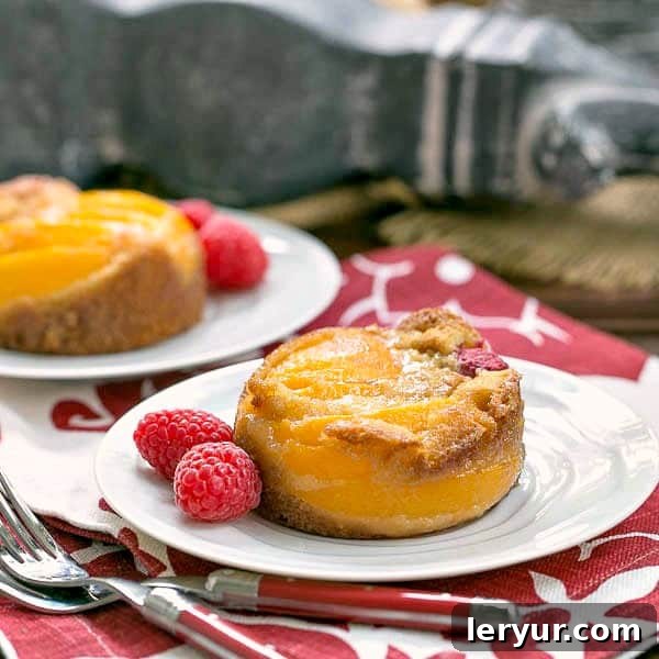 Oven Roasted Peach Cakes - A terrific, adaptable dessert featuring stone fruit!