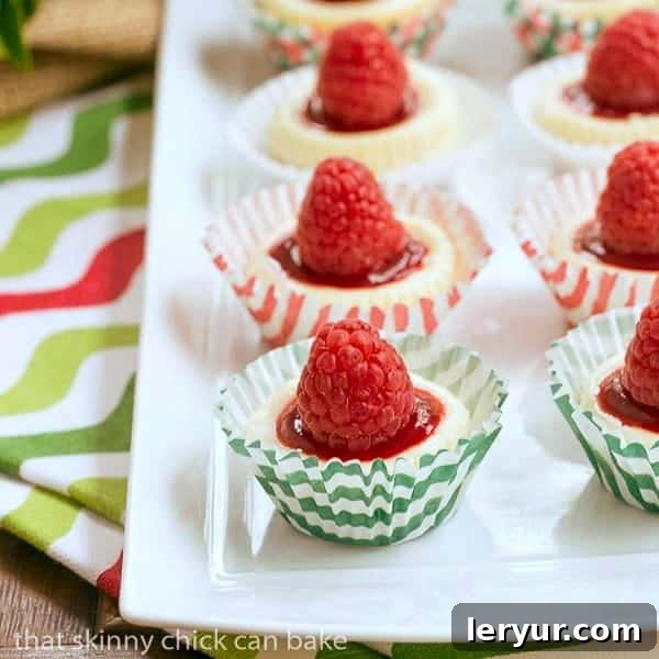 Mini Mascarpone Cheesecakes - Festive Bite-Sized Treats A festive arrangement of Mini Mascarpone Cheesecakes in red and green cupcake papers, adorned with raspberries and chocolate drizzles, ready for a holiday celebration.