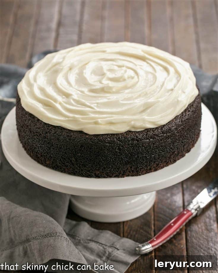 Delicious Chocolate Guinness Cake, perfect for St. Patrick's Day or any day of the year.
