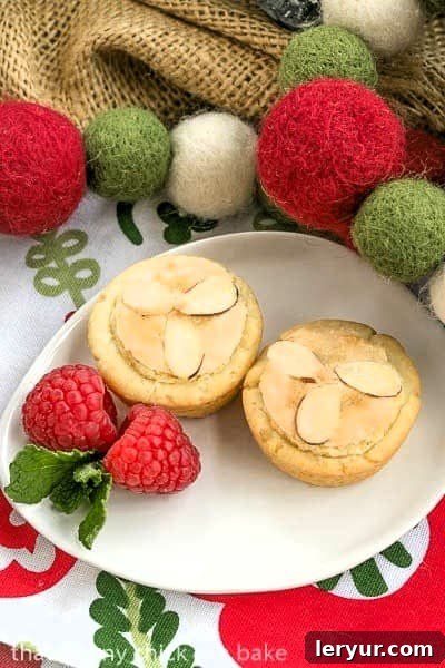 Two Almond Raspberry Tartlets on an oval white plate, elegantly garnished with fresh berries and a sprig of mint.