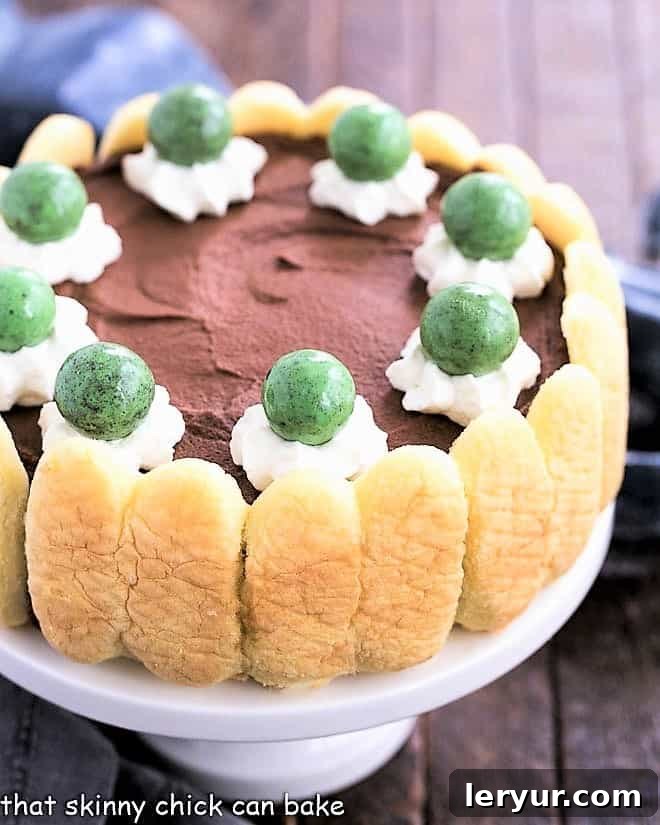 This Irish Chocolate Mousse Cake - Infused with Irish Cream for a dreamy St. Patrick's Day Dessert! A stunning Irish Chocolate Mousse Cake presented on an elegant white ceramic cake stand, highlighting its rich chocolate layers and festive appeal.