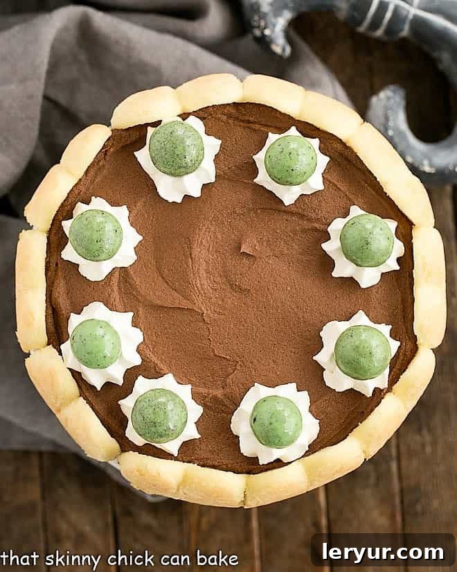 This Irish Chocolate Mousse Cake - Infused with Irish Cream for a dreamy St. Patrick's Day Dessert! An inviting overhead shot of the complete Irish Chocolate Mousse Cake, showcasing its meticulously arranged ladyfinger crust and smooth, rich chocolate mousse filling.