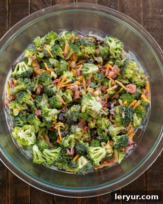 Sweet and Savory Broccoli Crunch Salad 5 Overhead view of salad ingredients being mixed with dressing in a bowl.