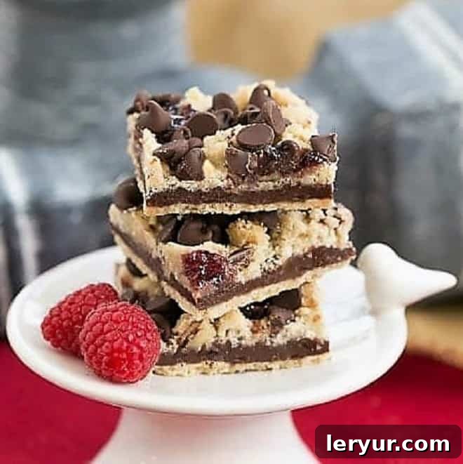 Chocolate Raspberry Crumb Bars - Shortbread, fudge, jam and a layer of crumbs makes for an out of this world bar cookie! Chocolate Raspberry Crumb Bars neatly sliced and presented on a small white pedestal, ready to be served.