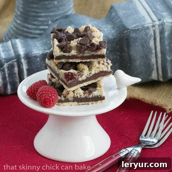 Chocolate Raspberry Crumb Bars | Layers of shortbread, fudge, jam, and crumbs create an incredible bar cookie!