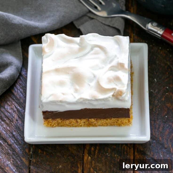 One S'mores Fudge Bar on a square white plate, perfectly showcasing the layers and toasted marshmallow.