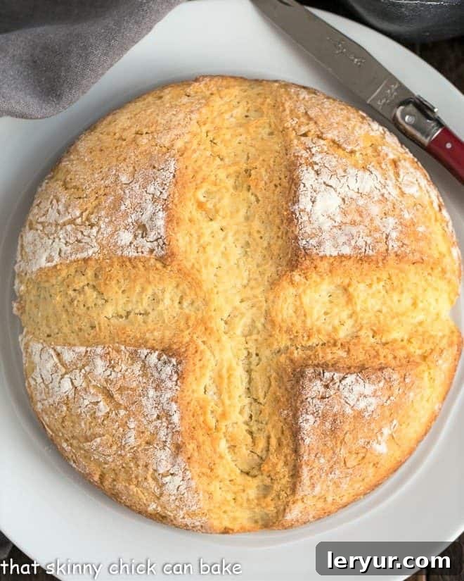 Irish Soda Bread - a simple quick bread that's slightly sweet, tender and delicious! Freshly baked Irish Soda Bread on a white plate, ready to be served.