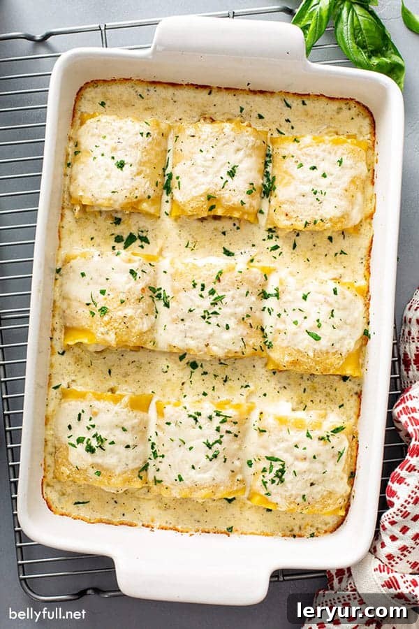 Chicken Alfredo Lasagna Rolls, two favorites in one delicious dish.