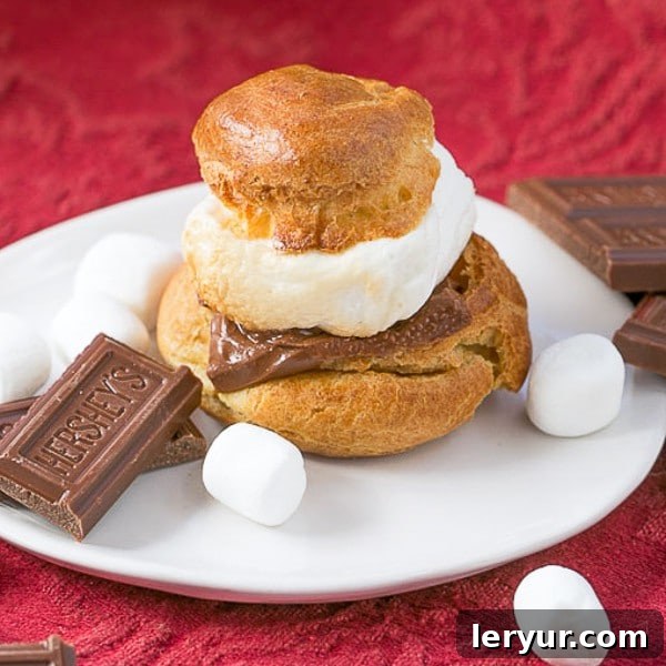 Delicious S'mores Cream Puffs arranged on a pristine white plate, garnished with melted chocolate drizzle and miniature toasted marshmallows. A perfect gourmet s'mores dessert for any occasion.