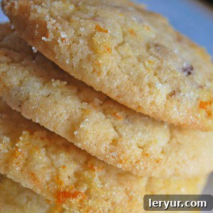 Cranberry Orange Cookies