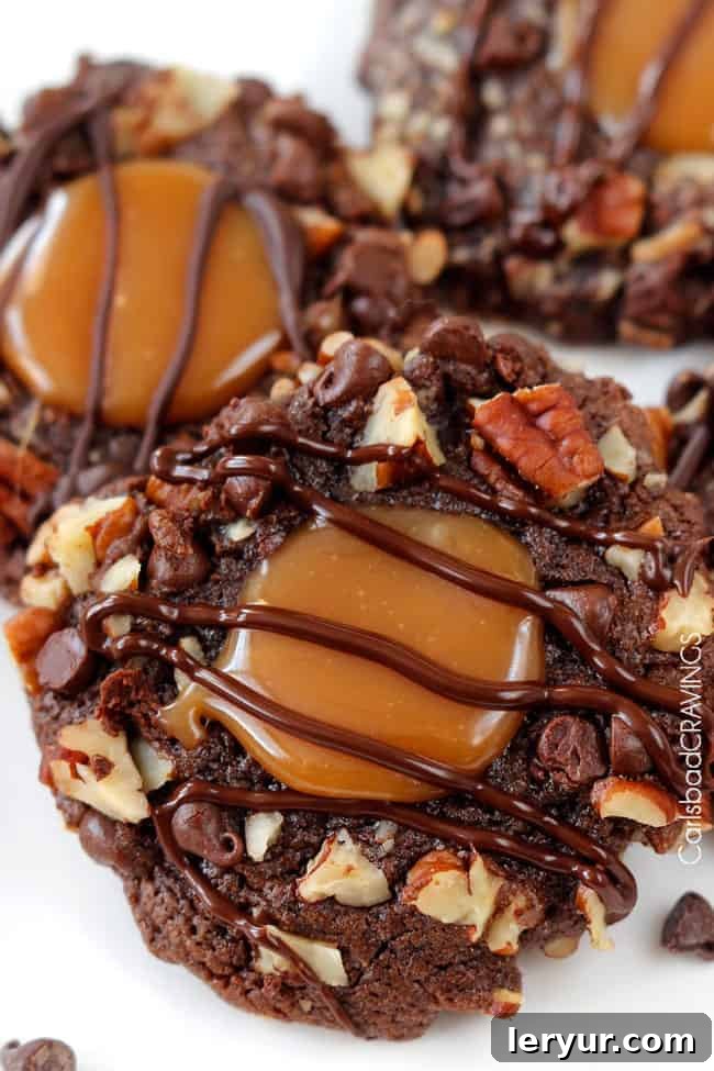 Turtle Cookies