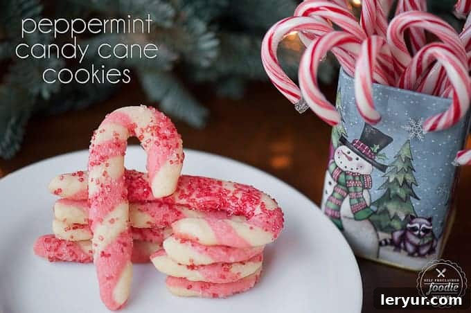 Peppermint Candy Cane Cookies