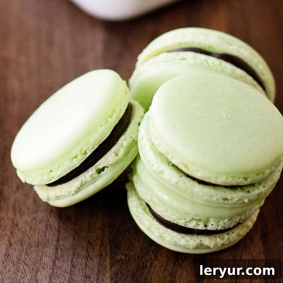 Chocolate Mint Macarons