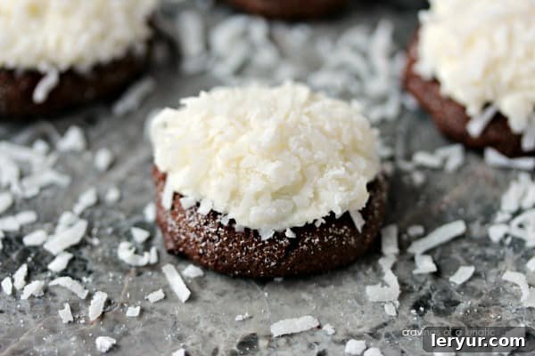 Chocolate Coconut Cookies