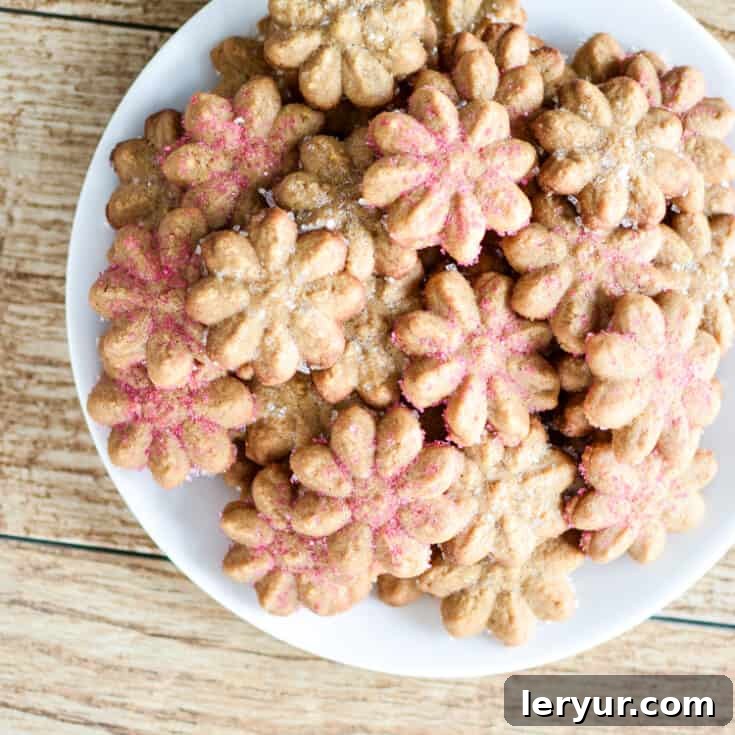 Ginger Spice Spritz Cookies