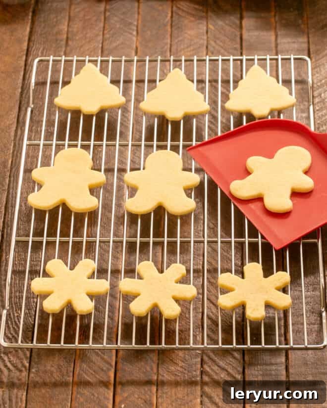 Whimsical Holiday Sugar Cookie Designs 10 Step 7: Allow baked cookies to cool completely on a wire rack before proceeding with frosting and decoration.