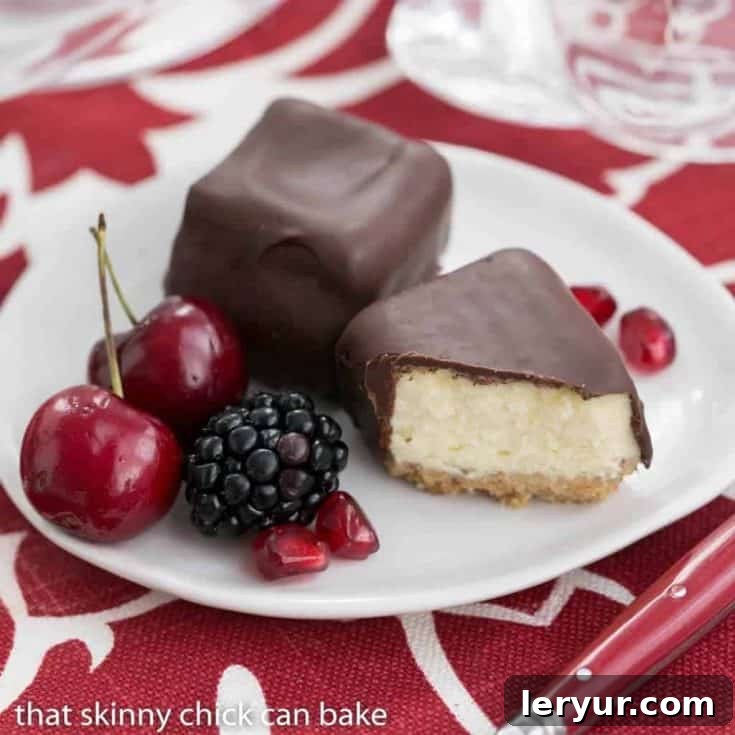 Chocolate Dipped Cheesecake Bites | Exquisite, bite-sized gems for your holiday buffet!