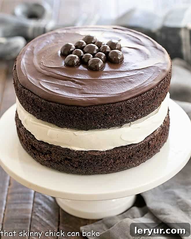 Ding Dong Cake - 2 thick moist chocolate cake layers filled with vanilla cream and topped with caramel infused ganache Ding Dong Cake - a cake designed to look like a Hostess Ding Dong on a white cake stand.