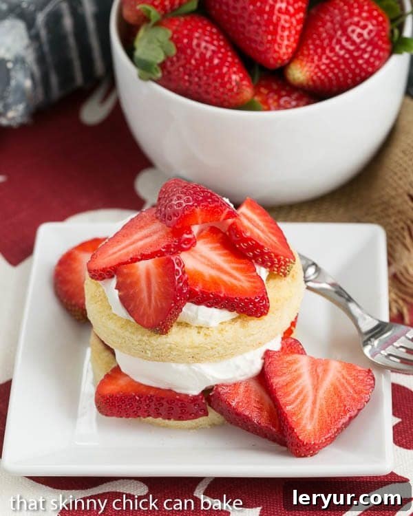 A beautifully arranged plate of fresh Strawberry Shortcakes with Olive Oil Cake rounds, garnished with berries and cream.
