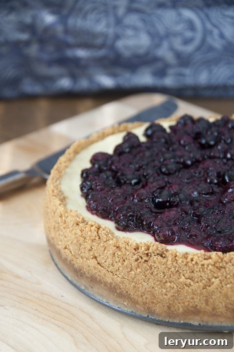 A classic New York-Style Blueberry Cheesecake featuring a buttery graham cracker crust, rich and creamy cheesecake filling, and a luscious blueberry topping.