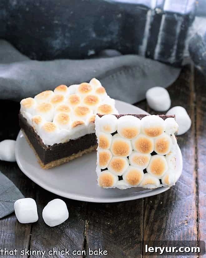 Two S'mores brownies on an oval plate, showing the gooey marshmallow topping.