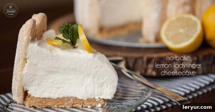 No-Bake Lemon Ladyfinger Cheesecake with a delicate ladyfinger crust, topped with fresh lemon slices and zest.